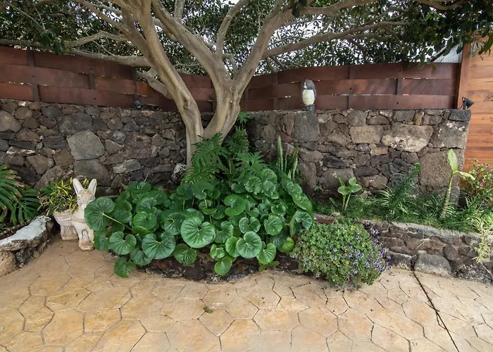 Buganvilla Molino