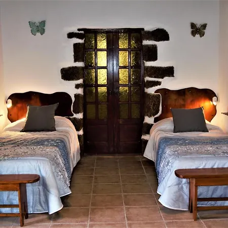 Buganvilla Molino